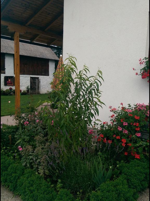 Ferienwohnung House Nada Donji Babin Potok Exterior foto