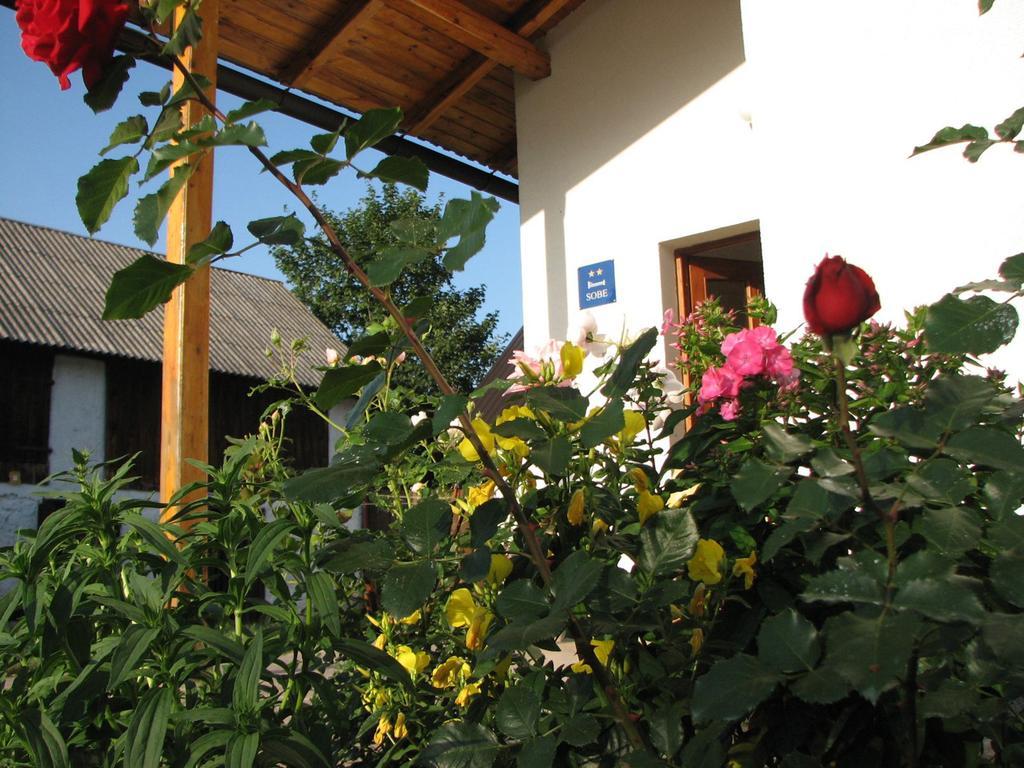 Ferienwohnung House Nada Donji Babin Potok Exterior foto