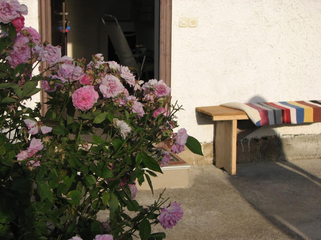 Ferienwohnung House Nada Donji Babin Potok Exterior foto