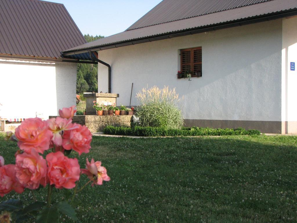 Ferienwohnung House Nada Donji Babin Potok Exterior foto